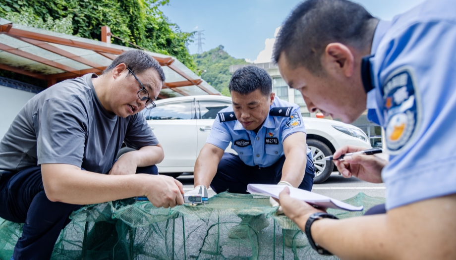 严打非法捕捞